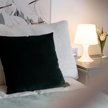 Apartment Loft Ladeira Real *